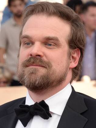 Actor David Harbour arrives for the the 23rd annual SAG Awards held at the Shrine Auditorium in Los Angeles on January 29, 2017. The Screen Actors Guild Awards will be broadcast live on TNT and TBS.  LAP20170129768 JIMxRUYMEN