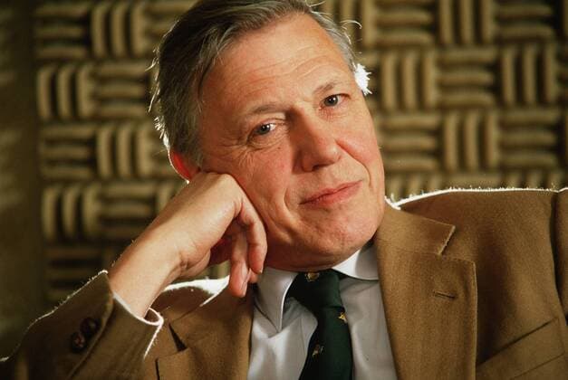 David Attenborough, television narrator on October 27, 1987. - ZUMAw85_ 20051015_zaf_w85_042 Copyright: xThexWashingtonxTimesx