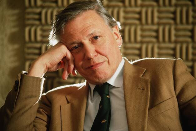 IMAGO ICONS: Sir David Attenborough David Attenborough, television narrator on October 27, 1987. - ZUMAw85_ 20051015_zaf_w85_044 Copyright: xThexWashingtonxTimesx