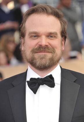 David Harbour SCREEN ACTORS GUILD AWARDS: ARRIVALS Los Angeles Patrick Rideaux PicturePerfect