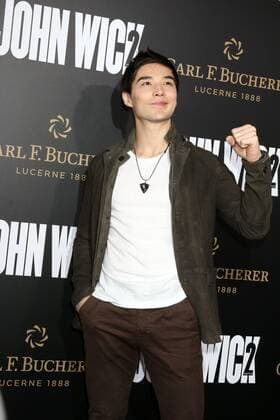 LOS ANGELES - JAN 30: Ludi Lin at the John Wick: Chapter 2 Premiere at ArcLight Theater on January 30, 2017 in Los Angeles, CA  Copyright: xKathyxHutchinsx xIPAx xHutchinsxPhotox