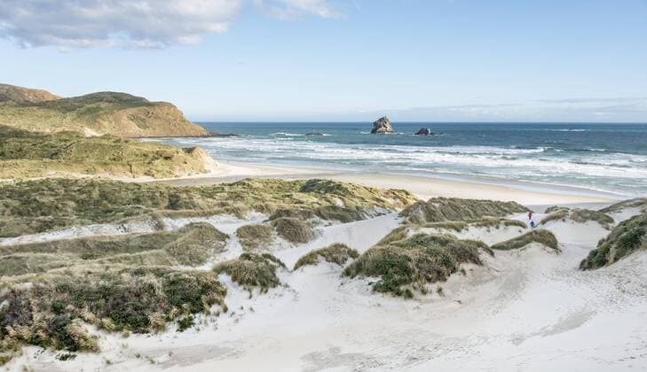  Sandfly Bay, Dunedin, Otago Peninsular, Südinsel, Neuseeland, Ozeanien Copyright: imageBROKER/MoritzxWolf ibxmmw04474827.jpg