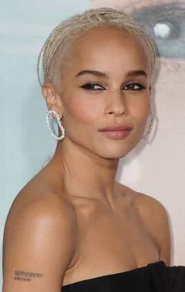 February 7, 2017 - Hollywood, California, U.S. - Zoe Kravitz attends The Los Angeles Premiere of the New HBO Limited Series The Big Little Lies held at the TCL Chinese Theatre in Hollywood, California on February 7, 2017. 2017 Hollywood U.S. - ZUMAl86_ 20170207_zaf_l86_094 Copyright: xDavexLongendykex