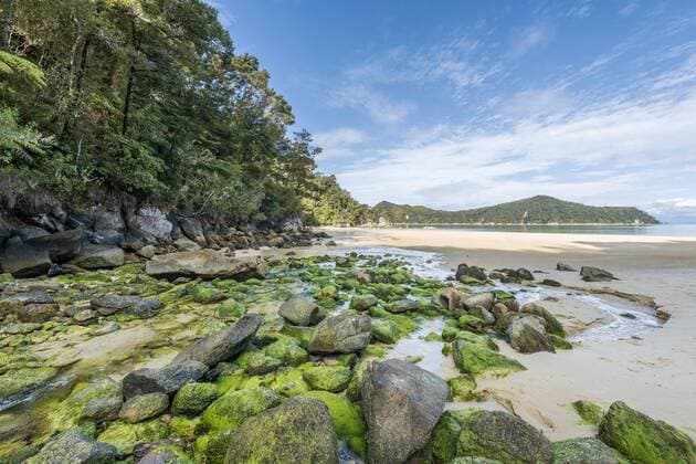  Strand, Observation Beach, Abel-Tasman-Nationalpark, Tasman, Südinsel, Neuseeland, Ozeanien Copyright: imageBROKER/MoritzxWolf ibxmmw04482044.jpg