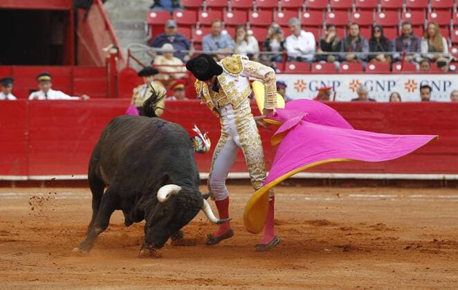 Spanish bullfighter Paco Urena fights his first bull of the afternoon, No que no of 526 kilograms, during the run 15 of the Temporada Grande in the Plaza de Toros Mexico, in Mexico City, Mexico, on 12 February 2017. BULLFIGHTING IN MEXICO !ACHTUNG: NUR REDAKTIONELLE NUTZUNG!  Copyright: xMarioxGuzmánx MEX25 20170213-636225539075009187
