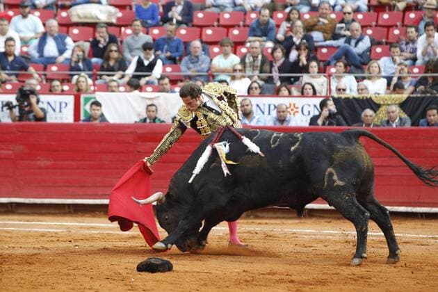 Mexican bullfighter Arturo Saldivar fights his first bull of the afternoon, Eso y más of 538 kilograms, during the run 15 of the Temporada Grande in the Plaza de Toros Mexico, in Mexico City, Mexico, on 12 February 2017. BULLFIGHTING IN MEXICO !ACHTUNG: NUR REDAKTIONELLE NUTZUNG!  Copyright: xMarioxGuzmánx MEX25 20170213-636225539762799960