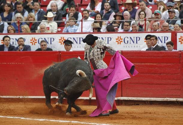 Mexican bullfighter Sergio Flores fights his first bull of the afternoon, Comadroso of 508 kilograms, during the run 15 of the Temporada Grande in the Plaza de Toros Mexico, in Mexico City, Mexico, on 12 February 2017. BULLFIGHTING IN MEXICO !ACHTUNG: NUR REDAKTIONELLE NUTZUNG!  Copyright: xMarioxGuzmánx MEX25 20170213-636225541134949572