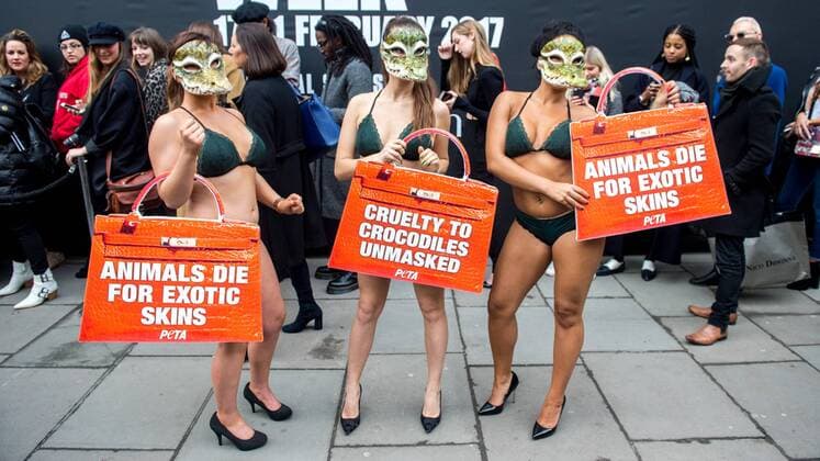 . 17 02 2017. London, United Kingdom. Animal Rights Protest at London Fashion Week. Activists from the animal rights group People for the Ethical Treatment of Animals (Peta) protest outside London Fashion Week on the Strand. The group claim that fashion houses such as Louis Vuitton s parent company, LVMH obtain crocodile skins from Vietnamese crocodile farms, where they allege the reptiles are raised in appalling conditions.  xPetexMaclainex xi-Imagesx IIM-14406-0008