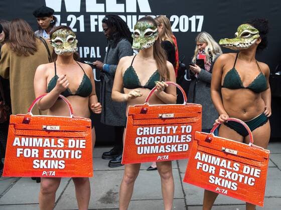 . 17 02 2017. London, United Kingdom. Animal Rights Protest at London Fashion Week. Activists from the animal rights group People for the Ethical Treatment of Animals (Peta) protest outside London Fashion Week on the Strand. The group claim that fashion houses such as Louis Vuitton s parent company, LVMH obtain crocodile skins from Vietnamese crocodile farms, where they allege the reptiles are raised in appalling conditions.  xPetexMaclainex xi-Imagesx IIM-14406-0009