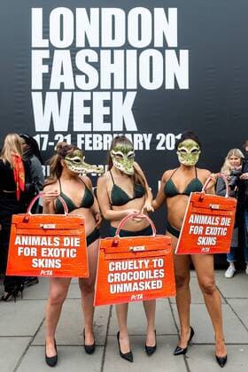. 17 02 2017. London, United Kingdom. Animal Rights Protest at London Fashion Week. Activists from the animal rights group People for the Ethical Treatment of Animals (Peta) protest outside London Fashion Week on the Strand. The group claim that fashion houses such as Louis Vuitton s parent company, LVMH obtain crocodile skins from Vietnamese crocodile farms, where they allege the reptiles are raised in appalling conditions.  xPetexMaclainex xi-Imagesx IIM-14406-0018