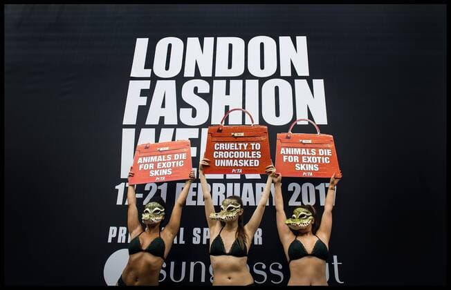 . 17 02 2017. London, United Kingdom. Peta models wearing crocodile masks stage a protest against the use of crocodile skin being used in fashion, on the first day of London Fashion Week on The Strand, London, UK.  xBenxStevensx xi-Imagesx IIM-14409-0006