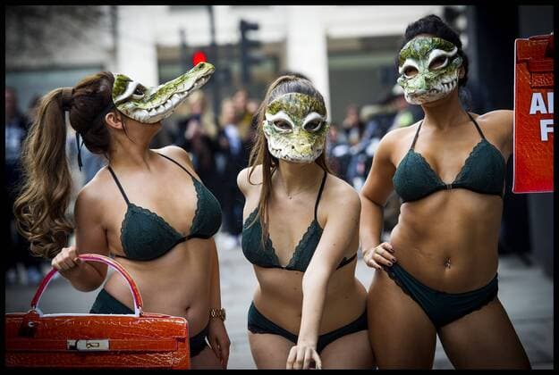 . 17 02 2017. London, United Kingdom. Peta models wearing crocodile masks stage a protest against the use of crocodile skin being used in fashion, on the first day of London Fashion Week on The Strand, London, UK.  xBenxStevensx xi-Imagesx IIM-14409-0011