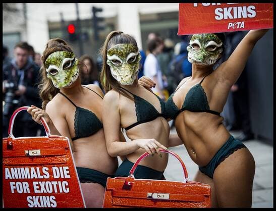 Bilder des Tages . 17 02 2017. London, United Kingdom. Peta models wearing crocodile masks stage a protest against the use of crocodile skin being used in fashion, on the first day of London Fashion Week on The Strand, London, UK.  xBenxStevensx xi-Imagesx IIM-14409-0014