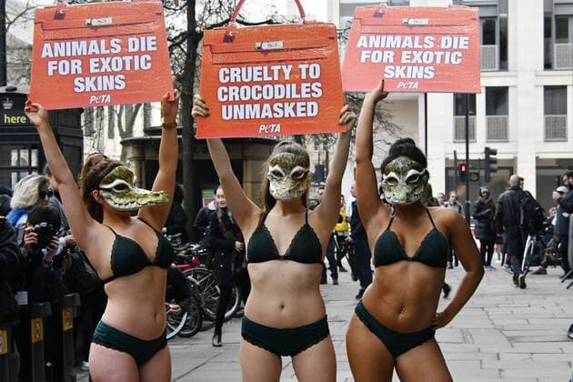 . 17 02 2017. London, United Kingdom. PETA models crash London Fashion Week. A trio of nearly naked models dressed in little more than lingerie and crocodile masks crash the first day of London Fashion Week, brandishing signs proclaiming, Cruelty to Crocodiles Unmasked and Animals Die for Exotic Skins. The action follows a recent PETA expose of crocodile farms in Vietnam including two that have supplied skins to a tannery owned by Louis Vuitton s parent company, LVMH which revealed that the animals are confined to tiny pits and sometimes hacked apart while they re still alive and thrashing, at 180 The Strand, London  xNilsxJorgensenx xi-Imagesx IIM-14415-0003