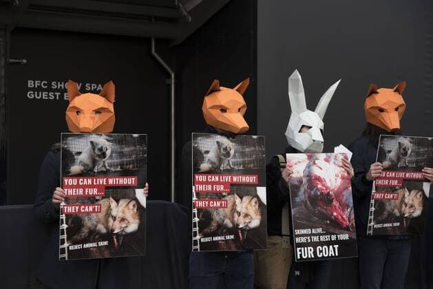 London Fashion Week: Animalist Protest Animalist protest against the use of fur and skin, outside 180 Strand, the principal location of London Fashion Week. Protester hold placard with images of skinned animals and masks.  AlbertoxPezzali