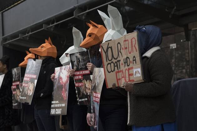 London Fashion Week: Animalist Protest Animalist protest against the use of fur and skin, outside 180 Strand, the principal location of London Fashion Week. Protester hold placard with images of skinned animals and masks.  AlbertoxPezzali