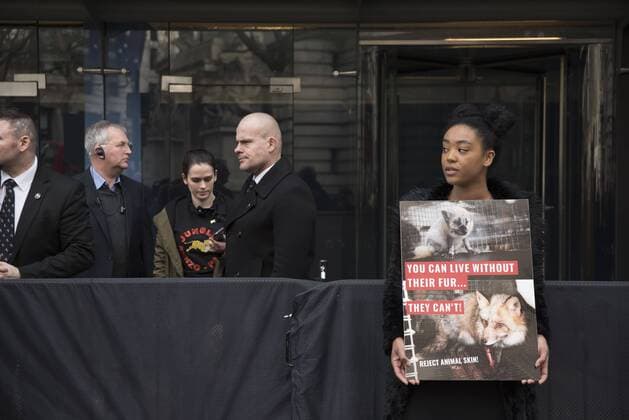 London Fashion Week: Animalist Protest Animalist protest against the use of fur and skin, outside 180 Strand, the principal location of London Fashion Week. Protester hold placard with images of skinned animals and masks.  AlbertoxPezzali