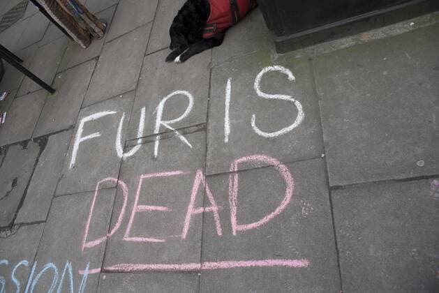 London Fashion Week: Animalist Protest Animalist protest against the use of fur and skin, outside 180 Strand, the principal location of London Fashion Week. Protester hold placard with images of skinned animals and masks.  AlbertoxPezzali