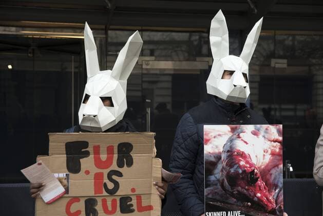 London Fashion Week: Animalist Protest Animalist protest against the use of fur and skin, outside 180 Strand, the principal location of London Fashion Week. Protester hold placard with images of skinned animals and masks.  AlbertoxPezzali