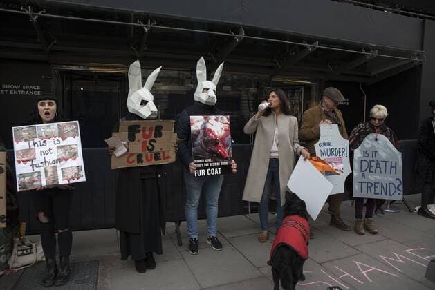 London Fashion Week: Animalist Protest Animalist protest against the use of fur and skin, outside 180 Strand, the principal location of London Fashion Week. Protester hold placard with images of skinned animals and masks.  AlbertoxPezzali