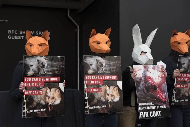 London Fashion Week: Animalist Protest Animalist protest against the use of fur and skin, outside 180 Strand, the principal location of London Fashion Week. Protester hold placard with images of skinned animals and masks.  AlbertoxPezzali