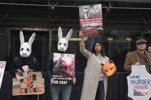 London Fashion Week: Animalist Protest Animalist protest against the use of fur and skin, outside 180 Strand, the principal location of London Fashion Week. Protester hold placard with images of skinned animals and masks.  AlbertoxPezzali
