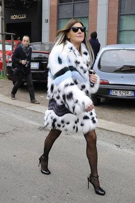 Milan Anna Dello Russo at the Fendi fashion show  Copyright: xLivioxValeriox xIPAx xLivioxValeriox