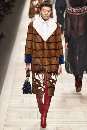 Mailand Fashion Week - Fendi Modenschau . 23 02 2017. Milan, Italy. Fendi show at Milan Fashion Week for Autumn Winter 2017.  xi-Imagesx IIM-14489-0034