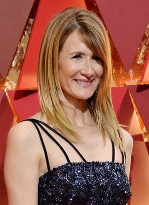 Actress Laura Dern arrives on the red carpet for the 89th annual Academy Awards at the Dolby Theatre in the Hollywood section of Los Angeles on February 26, 2017.  LAP20170226401 JIMxRUYMEN