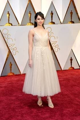 Felicity Jones attends the 89th Annual Academy Awards at Hollywood & Highland Center on February 26, 2017 in Hollywood, California. Foto:xD.xBedrosianx xFuturexImage