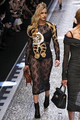 . 26 02 2017. Milan, Italy. Dolce & Gabbana show at Milan Fashion Week for Autumn Winter 2017 .  xi-Imagesx IIM-14520-0291