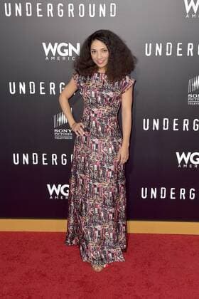 Jasika Nicole bei der Season 2 Premiere der WGN America TV-Serie Underground im Westwood Village Theater. Los Angeles, 28.02.2017 Foto:xD.xStarbuckx xFuturexImage