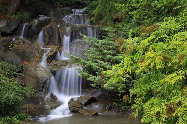 Waterfall, VanDusen Gardens, Vancouver, British Columbia, Canada, North America Copyright: RichardxCummins 776-4824