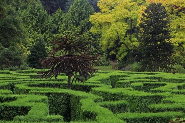 Maze, VanDusen Gardens, Vancouver, British Columbia, Canada, North America Copyright: RichardxCummins 776-4825