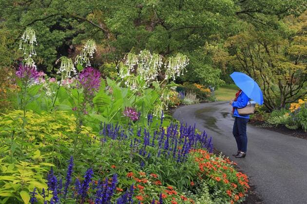 VanDusen Gardens, Vancouver, British Columbia, Canada, North America Copyright: RichardxCummins 776-4828