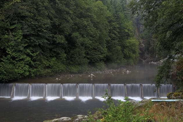 Capilano River Regional Park, Vancouver, British Columbia, Canada, North America Copyright: RichardxCummins 776-4833