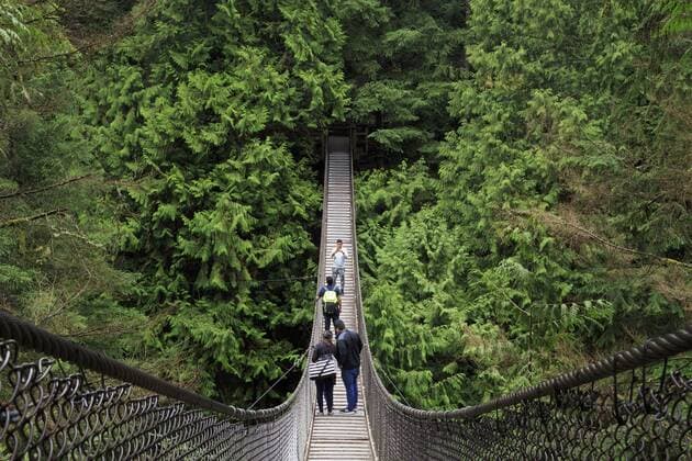 Suspension bridge, Lynn Canyon Park, Vancouver, British Columbia, Canada, North America Copyright: RichardxCummins 776-4839