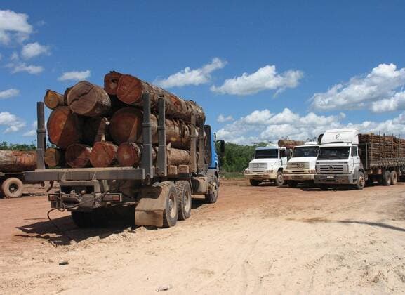 IMAGO Nature: Unsere Erde, Umweltprobleme, Regenwald June 21, 2007 - U.S. - Trucks carrying lumber out of the Amazon rain forest wait to cross the Moju River June 21, 2007, near Tailandia, Brazil. Clandestine loggers have cut down much of the forest here. About 70 percent of deforested land in Brazil is used for grazing. Brazil is the world s fourth biggest emitter of greenhouse gases, largely due to deforestation. ( MCT) - ZUMAm67_ 20070621_baf_m67_114 Copyright: xJackxChangx