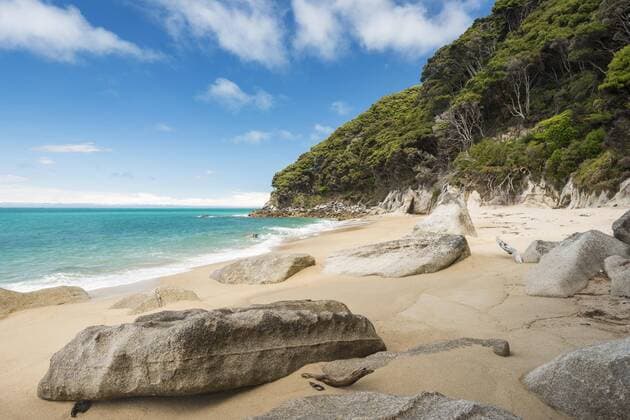  Felsen am Sandstrand mit tropischer Vegetation, Tonga Quarry, Tonga Bay, Abel Tasman Nationalpark, Tasman, Südinsel, Neuseeland, Ozeanien Copyright: imageBROKER/RobertxHaasmann ibxroh04508524.jpg
