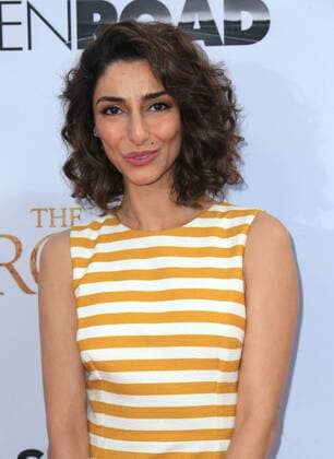 April 12, 2017 - Hollywood, CA, United States - 12 April 2017 - Hollywood, California - Necar Zadegan. Premiere Of Open Road Films The Promise held at TCL Chinese Theatre. Photo Credit: AdMedia Hollywood United States - ZUMAa123 20170412_zaa_a123_010 Copyright: xAdmediax