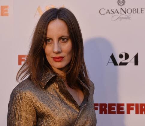 Cast member Liz Goldwyn attends the premiere of the motion picture crime thriller Free Fire at the ArcLight Cinema Dome in the Hollywood section of Los Angeles on April 13, 2017. Storyline: Set in Boston in 1978, a meeting in a deserted warehouse between two gangs turns into a shootout and a game of survival.  LAP2017041341 JIMxRUYMEN
