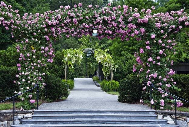 Rose arbor and path at Longwood Gardens. Copyright: xJohnxGreim LOOPxIMAGESx JGM12116WT064
