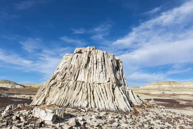 USA, New Mexico, Ah-shi-sle-pah Wash, rock formation, stone tree stump  FOF09161