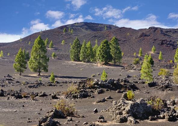 Spain, Canary islands, Tenerife, Montana Negra oder Volcan Garachico near El Tanque  SIEF07383