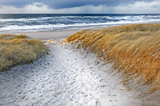  Weg durch die Dünen, bei Kampen, Sylt, Schleswig-Holstein, Deutschland, Europa Copyright: imageBROKER/Gerkenx&xErnst iblnao04516683.jpg