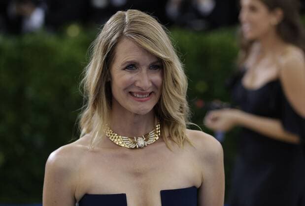 Laura Dern arrives on the red carpet at the Costume Institute Benefit at The Metropolitan Museum of Art celebrating the opening of Rei Kawakubo Comme des Garcons: Art of the In-Between in New York City on May 1, 2017.  NYP20170501190 JOHNxANGELILLO