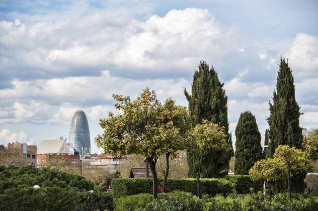 Architektur von Jean Nouvel Apfelsinenbaum und Zypressen im Park de la Ciutadella und Hochhaus Torre Agbar von Architekt Jean Nouvel im Hintergrund.