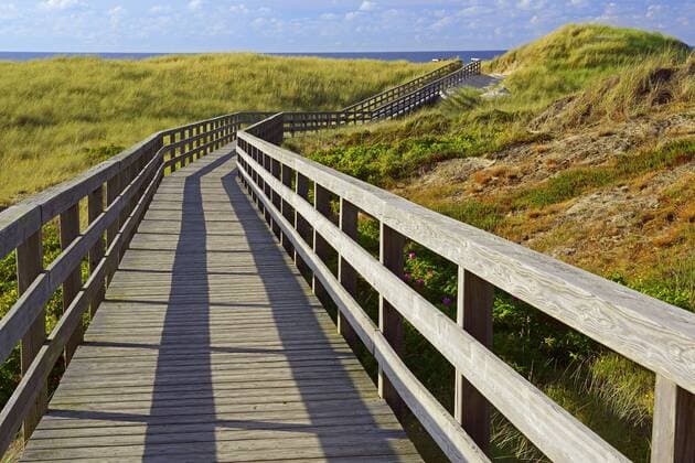 Bohlenweg durch die Duenen zum Strand von Kampen am spaeten Nachmittag, Deutschland, Schleswig-Holstein, Sylt planked footpath through the dunes to the beach of Kampen in the late afternoon, Germany, Schleswig-Holstein, Sylt BLWS452723 Copyright: xblickwinkel McPHOTO I.xSchulzx