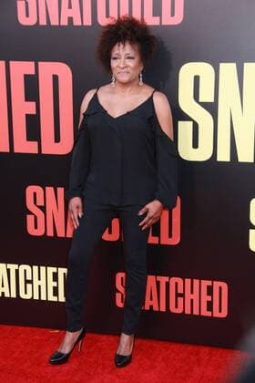 Wanda Sykes 05 10 2017 The World Premiere of Snatched held at the Regency Village Theater in Los Angeles, CA  Copyright: xCronos IzumixHasegawax cronoshnw105201789647