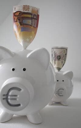 Sparschweine mit Euro - und Dollargeldscheinen . Bonn , Deutschland . Piggy bank with Euro and Dollar banknotes . Bonn , Germany . 05.04.2008 , Bonn DEU Deutschland Copyright: xUtexGrabowskyx